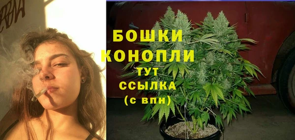 шишки Алексин