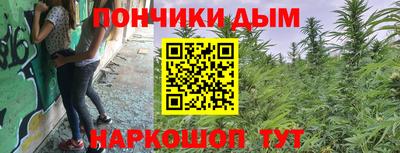 трава Заводоуковск